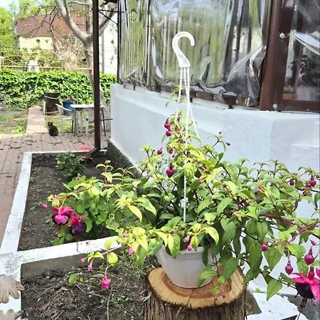 Holiday home таки дача на фонтане
